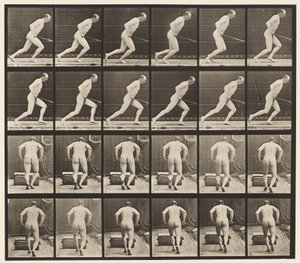 Levha 393. Bahçe Silindirini İtmek, 1872-1885 by Eadweard Muybridge