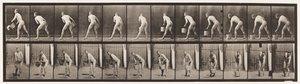 Levha 398. Bir Kova Suyu Boşaltmak İçin Kaldırmak, 1872-1885 by Eadweard Muybridge