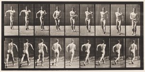 Plaka 3. Yürüyüş by Eadweard Muybridge
