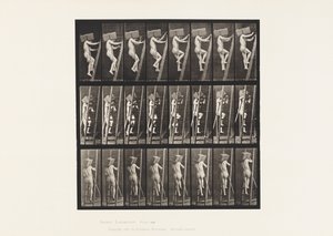 Levha 405. Tuğla Elini Merdivende Taşıma, 1872-1885 by Eadweard Muybridge