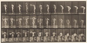 Plaka 414. Havlulu Silme Gövdesi by Eadweard Muybridge