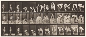 Levha 419. Tuvalet, Eğilme, Omuz Sargısı Fırlatma by Eadweard Muybridge