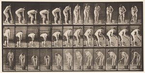 Plaka 433. Giysileri Sıkma by Eadweard Muybridge