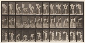 Levha 434. Hatta Asılan Giysiler, 1872-1885 by Eadweard Muybridge