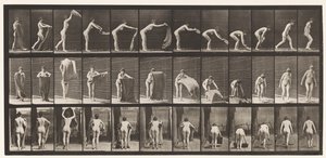 Levha 439. Yere Kilim Serilmesi, 1872-1885 by Eadweard Muybridge