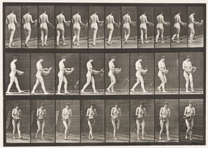 Levha 43. Yürüyüş, Havzadan Su Serpme, Dönme by Eadweard Muybridge
