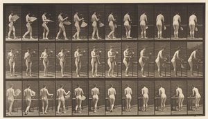 Levha 441. Vazo Taşıma ve Masaya Yerleştirme, 1872-1885 by Eadweard Muybridge