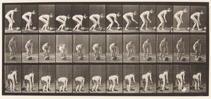 Plaka 442. Eğilip Yerde Taş Yuvarlama by Eadweard Muybridge