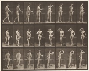 Plaka 443. Ayakta Kadeh İçmek by Eadweard Muybridge