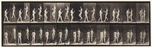 Plaka 448. İki model by Eadweard Muybridge