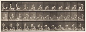 Plaka 449. Köpek Besleme by Eadweard Muybridge