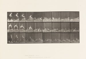 Plaka 455. Kendini Saman Yığınına Fırlatma by Eadweard Muybridge