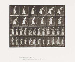 Plaka 456. Sıralama, 165 by Eadweard Muybridge