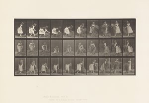 Levha 458. Avuç Avuç Samanı Kaldırma, Çevirme, Yere Atma by Eadweard Muybridge