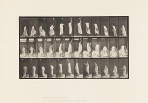 Plaka 459. Sandalyeye Basma, Uzanma ve İnme, 1885 by Eadweard Muybridge