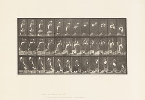 Tabak 460. Omuzda Kavanoz ve Elde Sepet Taşıma, 1885 by Eadweard Muybridge