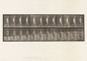 Plaka 467. Çocuk, Yürüyüş, 1885 by Eadweard Muybridge