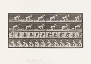 Levha 471. Elinde ve Dizlerinde Emekleyen Çocuk, 1885 by Eadweard Muybridge