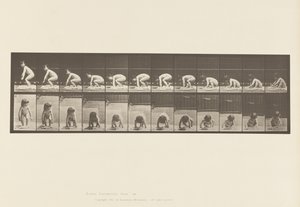Plaka 479. Çocuk, Yerden Kalkıyor by Eadweard Muybridge