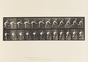 Plaka 480. Çocuk, Üst Katta Yürüyen ve Emekleyen by Eadweard Muybridge