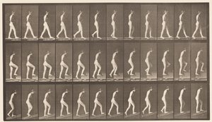 Plaka 482. A, Yürüyüş; B, Yükselen Merdivenler; C, Yükselen Eğim, 1872-1885 by Eadweard Muybridge