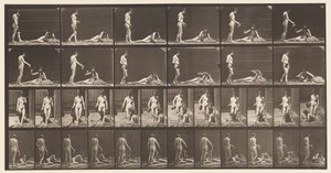 Plaka 485. İki Model; A, 10 Ayakta Kalma ve Kadeh Doldurma;, 1872-1885 by Eadweard Muybridge