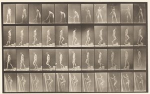 Plaka 486. A, Çim Tenisi; B, Bir Basamak Yükselmek;, 1872-1885 by Eadweard Muybridge