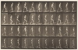 Plaka 489. A, Artan Eğim;, 1872-1885 by Eadweard Muybridge
