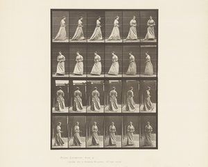 Tabak 48. İki Elle Yürüyen ve Dönen Buket, 1885 by Eadweard Muybridge