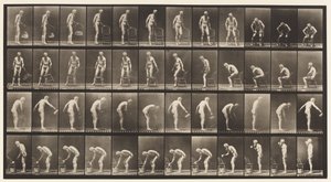 Plaka 490. A, Oturarak; B, Oturarak; C, Yağmurlama Suyu by Eadweard Muybridge