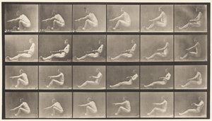 Plaka 492. A by Eadweard Muybridge