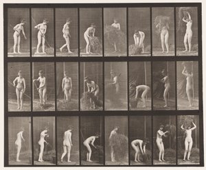 Plaka 499. Saman Tırmığı ve Paketleme, 1872-1885 by Eadweard Muybridge