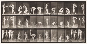 Levha 501. Muhtelif, Çömelme, Diz Çökme vb. by Eadweard Muybridge