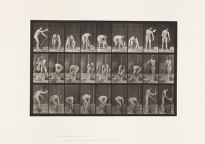 Plaka 505. Duvar örme by Eadweard Muybridge