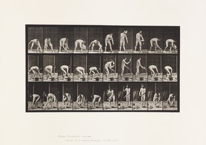 Plaka 506. Duvar örme by Eadweard Muybridge