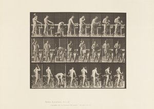 Plaka 507. Marangozluk by Eadweard Muybridge