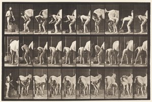 Plaka 508. Atı Pabuçlamak by Eadweard Muybridge
