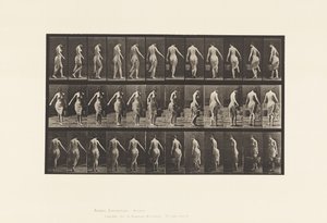 Plaka 50. Yürümek, Kova Taşımak by Eadweard Muybridge