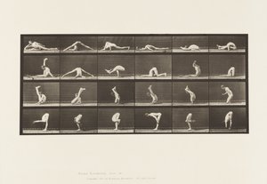 Levha 510. Yerdeki Bükülmeler, 1872-1885 by Eadweard Muybridge