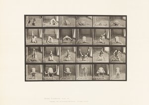 Plaka 511. Yerdeki Bükülmeler by Eadweard Muybridge