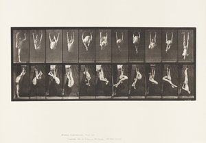 Plaka 512. Halkalarda Bükülmeler by Eadweard Muybridge