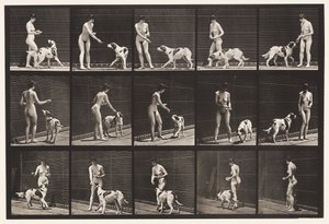 Plaka 514. Köpek Besleme