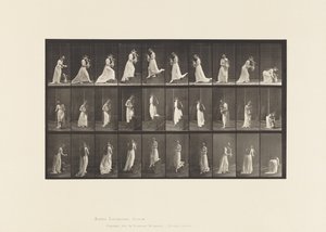 Plaka 515. Çıkan ve Azalan Merdivenler vb., 1885 by Eadweard Muybridge