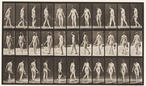 Levha 51. Yağmurlama Potası Kullanarak Yürüme ve Dönme, 1872-1885 by Eadweard Muybridge