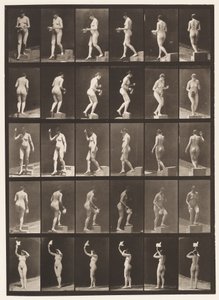 Plaka 525. A, Azalan Basamak; B, Yükselen Adım;, 1872-1885 by Eadweard Muybridge