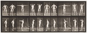 Plaka 529. Çeşitli Pozlar by Eadweard Muybridge