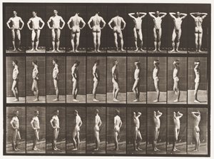 Plaka 530. Çeşitli Pozlar by Eadweard Muybridge