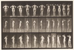 Plaka 531. Çeşitli Pozlar by Eadweard Muybridge