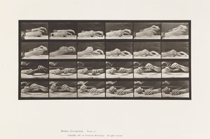 Plaka 536. El Hareketi; Kalem Değiştiren Eller by Eadweard Muybridge