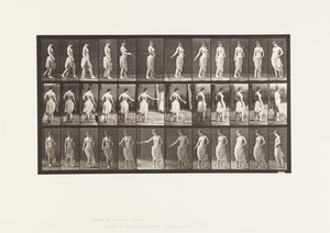 Plaka 53. Yürüme, Çiçekleri Saçma ve Dönme Hareketi by Eadweard Muybridge